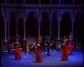 %Actuaciones flamencas %flamenco zambra y ballet zambra