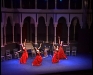 %Actuaciones flamencas %flamenco zambra y ballet zambra