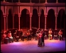 %Actuaciones flamencas %flamenco zambra y ballet zambra
