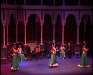 %Actuaciones flamencas %flamenco zambra y ballet zambra