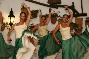 %Actuaciones flamencas %flamenco zambra y ballet zambra